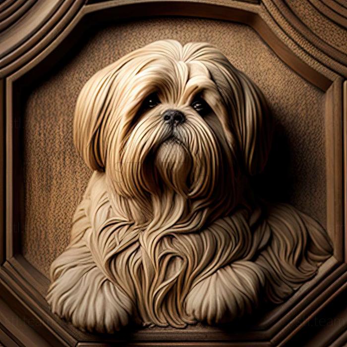 Animals Lhasa APSO dog